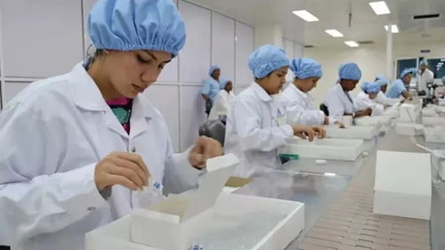 古巴抗癌疫苗取得新進(jìn)展，為攻克實(shí)體瘤帶來新希望